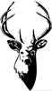Free Clipart Of Deer Skulls Image