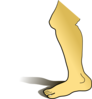 Leg Clip Art