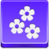 Free Violet Button Flowers Image