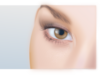 Female Eye  Clip Art