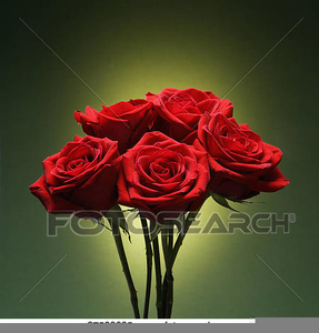 Cliparts Roses Rouges Image