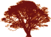 Orange Background Tree Clip Art