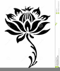 Lotus Flower Clipart Symbol Image