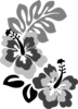 Grey Hibiscus  Clip Art