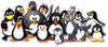Penguin Group Photo Clip Art