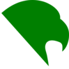 Hawk Logo Green2 Clip Art