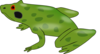 Green Tree Frog Clip Art