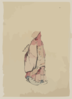 [side View Of A Monk, Full-length Portrait, Facing Left, Wearing Gown With Hood] Clip Art