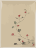 [small Red Blossoms On A Vine] Clip Art