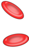 Red Blood Cells Clip Art