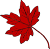 Red Maple Leaf Clip Art