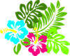 Multi Hibiscus2 Clip Art