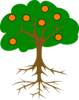 The Orange Tree Clip Art