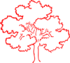 Red Oak Tree Silhouette Clip Art