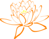 Coral Yellow  Lotus Clip Art