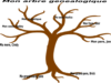 Family Tree  Clip Art