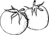 Tomatoes Black And White Clip Art