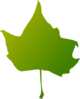 Torn Maple Leaf Green Clip Art
