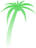 Palm Tree Gradient Clip Art