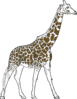 Giraff Animal Outline Clip Art