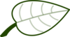 Leaf Clipart Green-white Clip Art