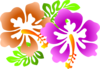 Hibiscus Clip Art