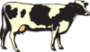 Art Cow Clip Art