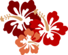 Hibiscus Big Red Clip Art