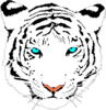 Bengal Tiger (white) Clip Art