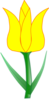 Tulip Clip Art