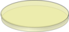 Yellow Petri Dish Clip Art