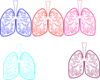 Lung Color Tika Hp Simple Clip Art