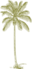 Brown Palm Tree Clip Art