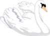 Swimming Swan Clip Art