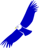 Blue Condor Clip Art