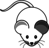 White Mouse Left-grey-ear Clip Art