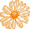 Orange Daisy Clip Art