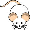 Rat Clip Art