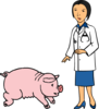 Doctor And Pig Clip Art