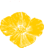 Yellow Poppy2 Clip Art