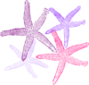 Starfish Prints Purplish Clip Art