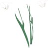 White Flowers Clip Art