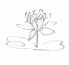 Lotus Logo Black Grayshadow Flower Only Clip Art