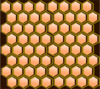 Honeycomb Cells Clip Art