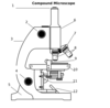 Compound Microscope Clip Art