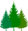 Forest Logo Clip Art