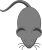 Dark Grey Lab Mouse Grey Outline Clip Art