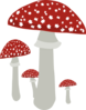Red Topped Mushrooms Clip Art