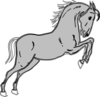 Grey Jumping Horse Clip Art