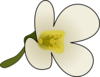 Thaliana Flower Clip Art